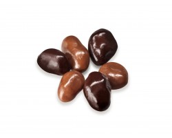 Chocolate covered raisins