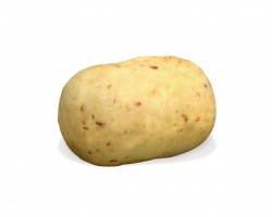 Charlotte potato shaped chocolates