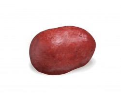 Pommes de terre nouvelles Roseval chocolat